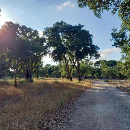 Alto Villa Alcácer do Sal Kültér fotó
